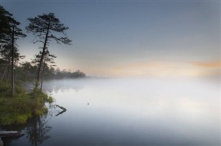 Estonia weather forecast