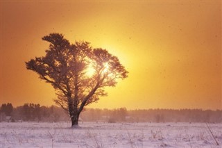 Estonia weather forecast