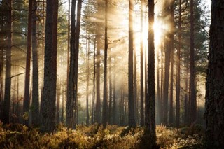 Estonija vremenska prognoza