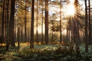 Estonia weather forecast