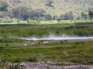 Ethiopia weather forecast