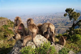 Ethiopia weather forecast