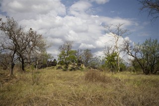 Ethiopia weather forecast