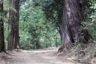 Ethiopia weather forecast