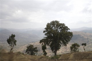 Ethiopia weather forecast