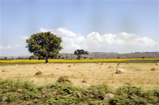 Ethiopia weather forecast