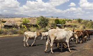 Ethiopia weather forecast