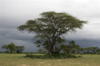 Etiopia prognoza pogody