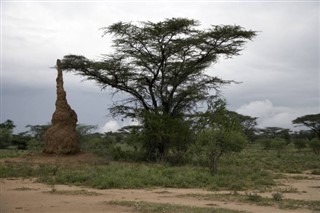 Ethiopia weather forecast