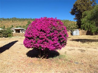 Ethiopia weather forecast