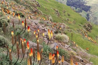 Ethiopia weather forecast