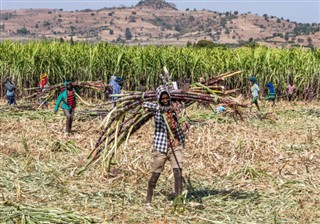 Ethiopia weather forecast