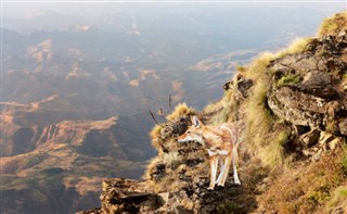 Ethiopia weather forecast