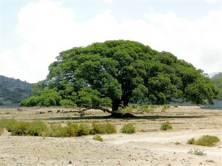 Ethiopia weather forecast