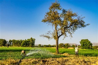 Ethiopia weather forecast