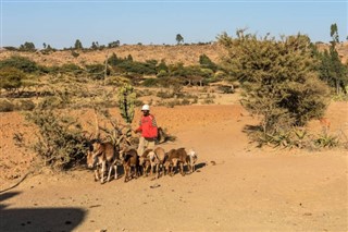 Ethiopia weather forecast