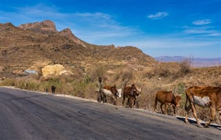 Ethiopia weather forecast