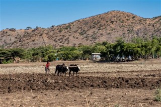 Ethiopia weather forecast