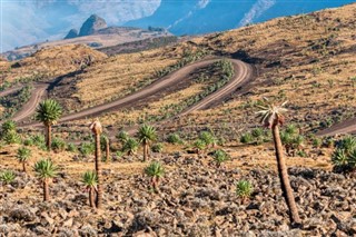 Ethiopia weather forecast