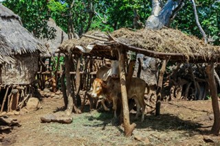 Ethiopia weather forecast