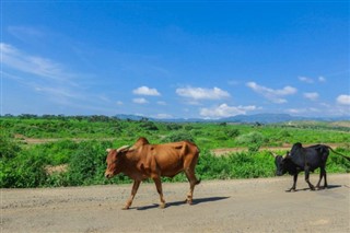 Ethiopia weather forecast