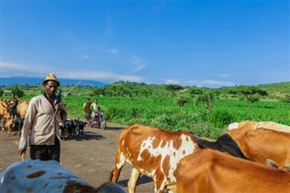 Ethiopia weather forecast