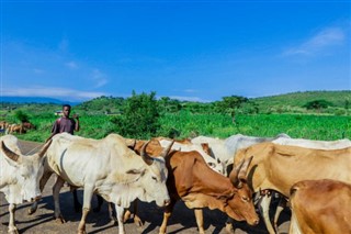 Ethiopia weather forecast