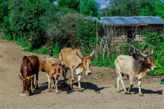 Etiopia prognoza pogody