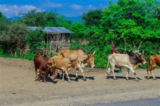 Ethiopia weather forecast