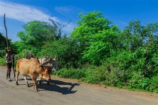 Ethiopia weather forecast