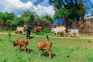 Etiopia prognoza pogody