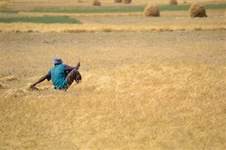 Ethiopia weather forecast