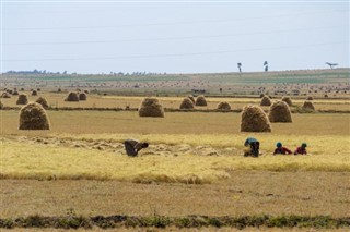 Ethiopia weather forecast