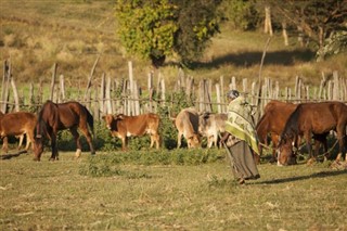 Ethiopia weather forecast