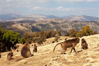 Ethiopia weather forecast