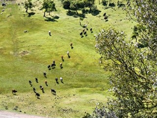 Ethiopia weather forecast