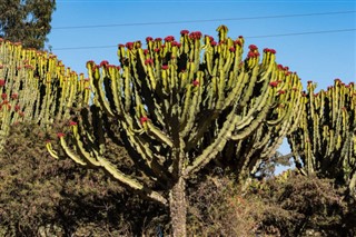 Etiopia prognoza pogody