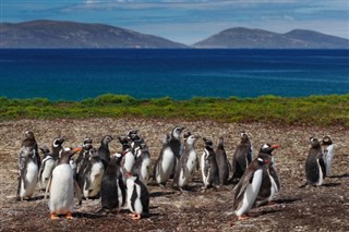 Falkland Islands weather forecast