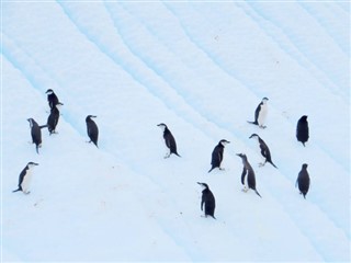 Falkland Islands weather forecast