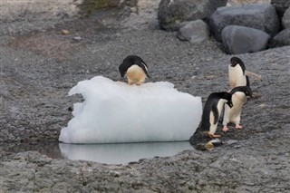 Falkland Islands weather forecast