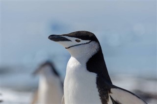 Falklandinsaaret sääennuste