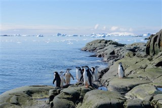 Falkland Islands weather forecast