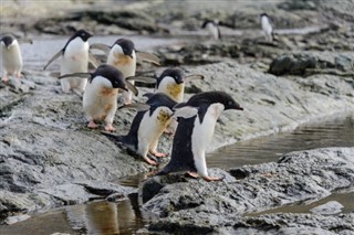 Falkland Islands weather forecast