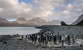 Falkland Islands weather forecast