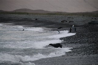 Falkland Islands weather forecast