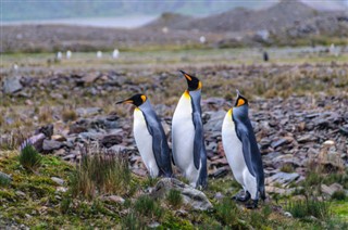 Falklandinsaaret sääennuste