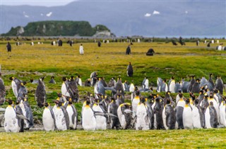 Falklandy prognoza pogody