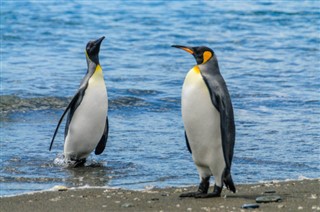 Falkland Islands weather forecast