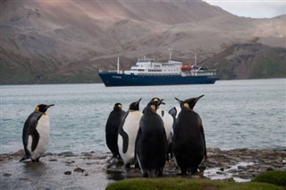 Falkland Islands weather forecast