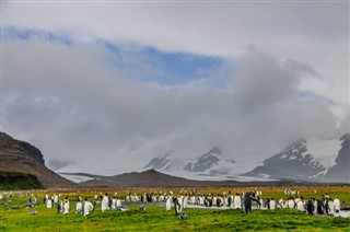 Falklandy prognoza pogody